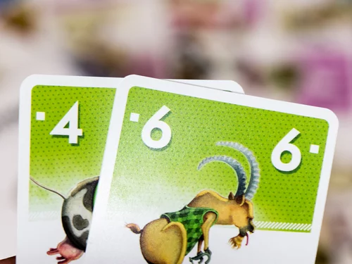 Test du jeu VELONIMO vue cartes 2